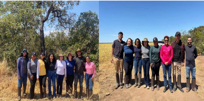 Coleta de amostras do Projeto INCT – Biodiversidade do Solo, em áreas com diferentes históricos de uso (soja, milho, pastagem e vegetação nativa) na Serra do Quilombo, Piauí. Pesquisadores da UFPI e UFLA