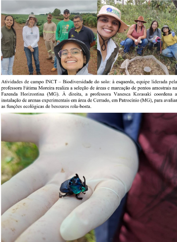 Seleção de novas áreas em Patrocinio (MG) para estudos diversos do INCT e avaliação da fauna  invertebrada do solo com destaque para Besouros rola- bosta