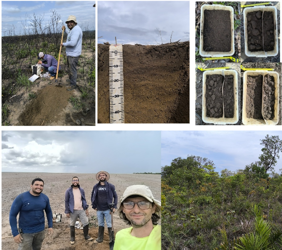 Coletas e descrições morfológicas de perfis para fins de pedologia e física do solo