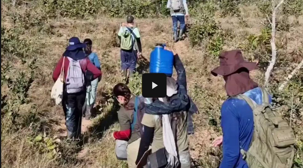 A importância de pequenos elementos na paisagem na manutenção da diversidade vegetal em Patrocínio, MG, agosto de 2026