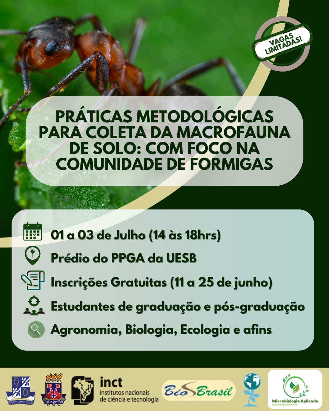 Curso: Práticas metodológicas para coleta da macrofauna de solo: com foco na comunidade de formigas